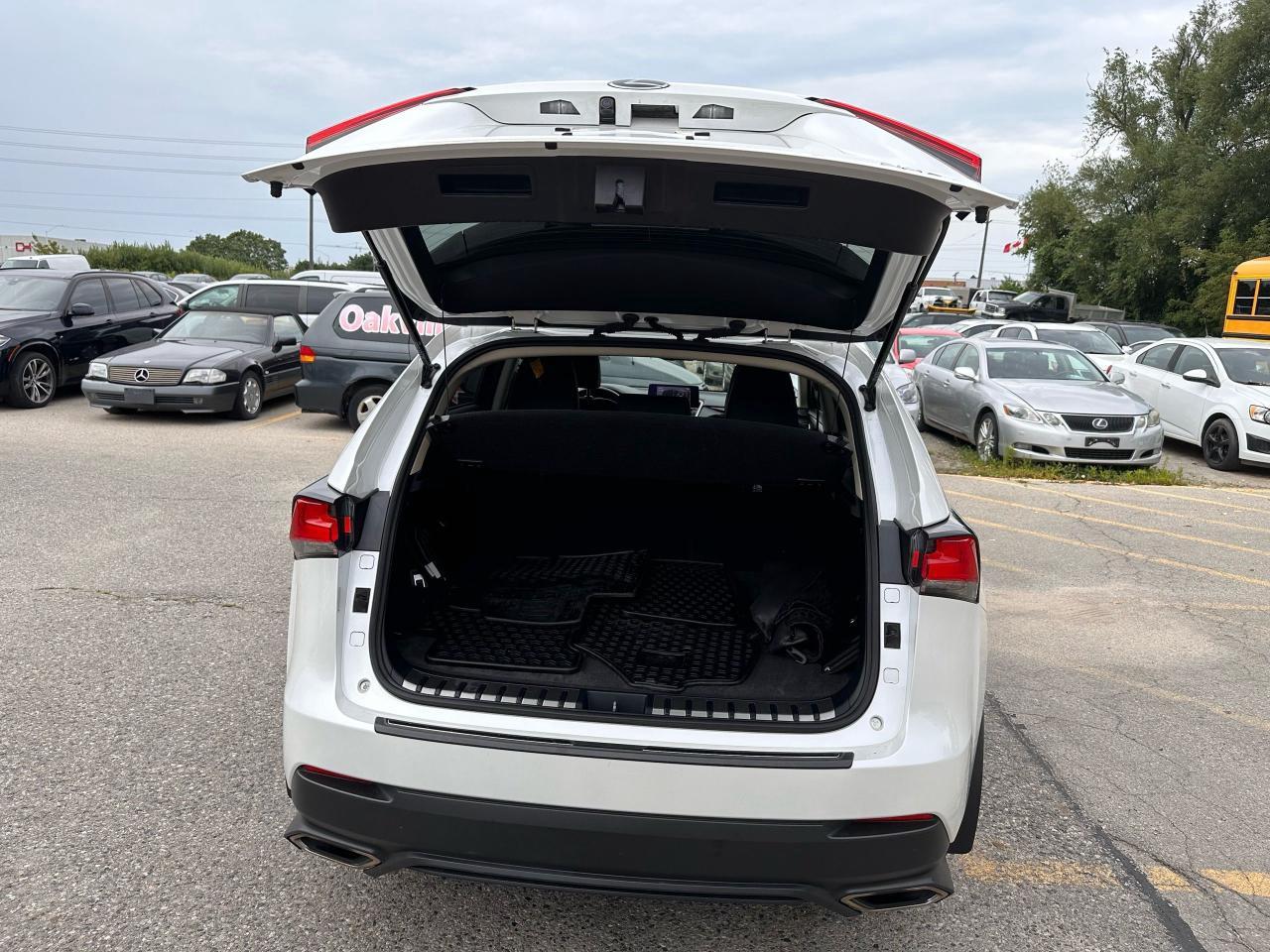 2020 Lexus NX NX 300 Photo