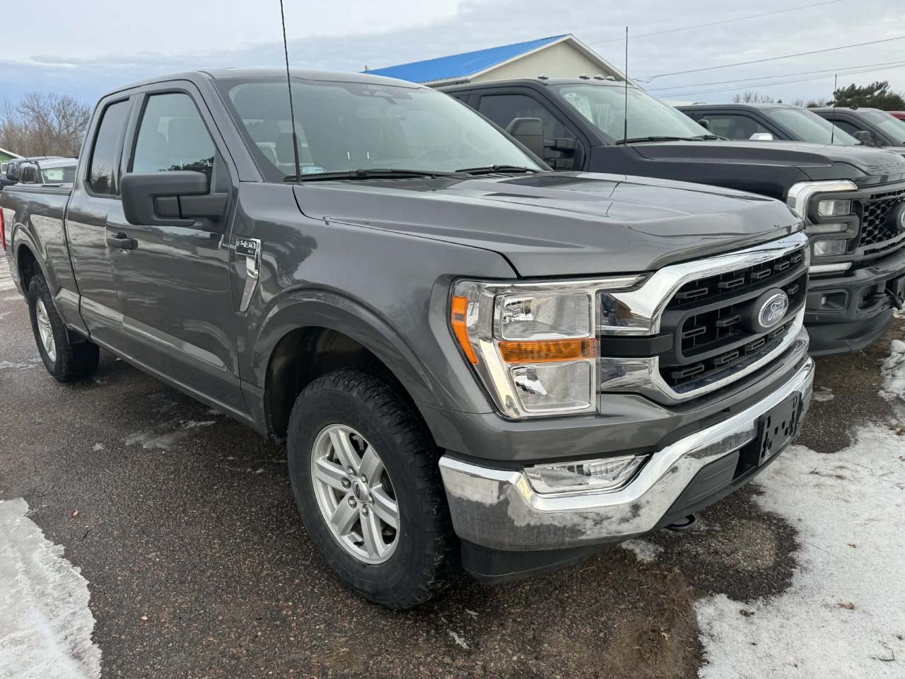 2022 Ford F-150 XLT Photo
