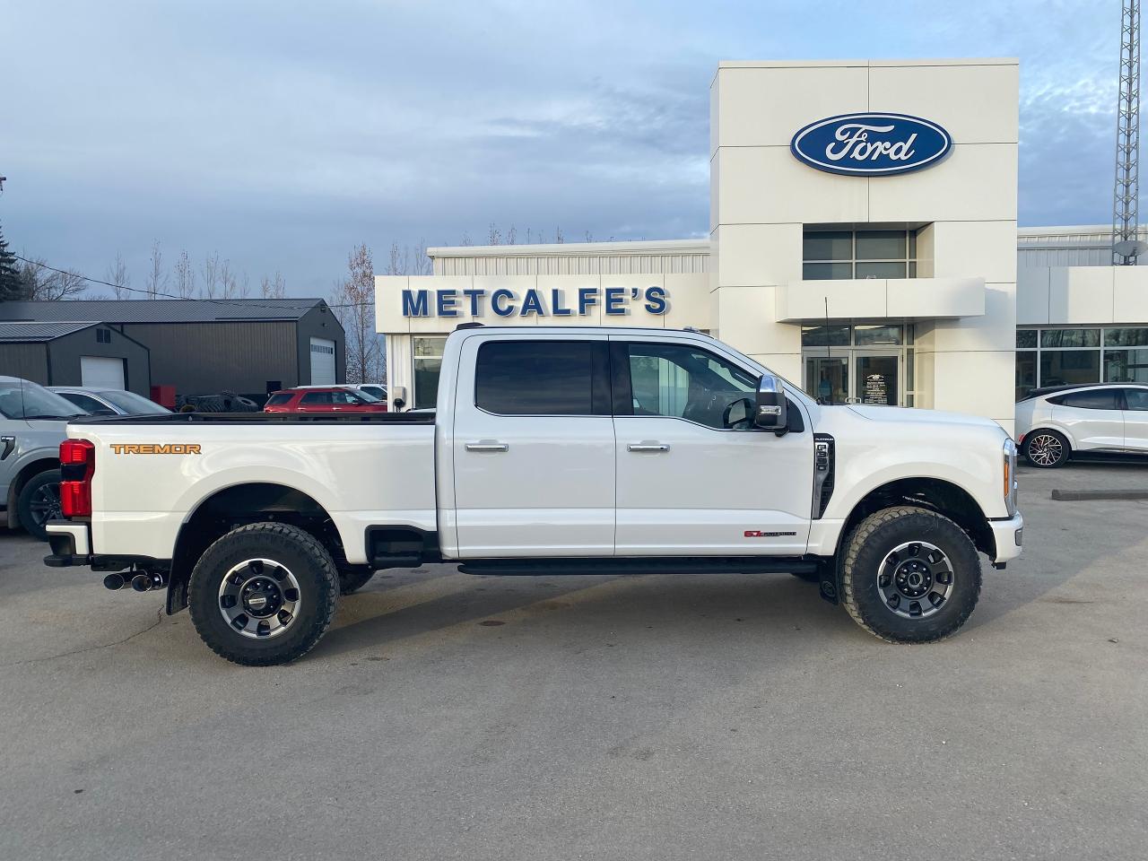 New 2023 Ford F-350 Super Duty SRW PLATINUM 4WD CREW CAB 6.75' BOX for sale in Treherne, MB