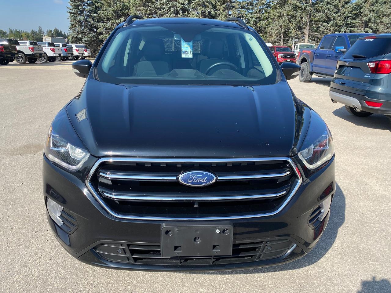 2019 Ford Escape Titanium Photo