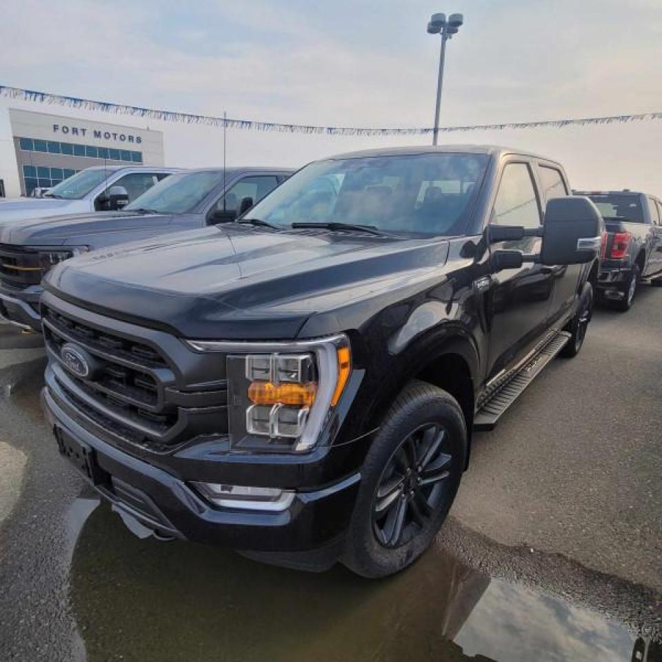 2023 Ford F-150 XLT  - Premium Audio Photo0