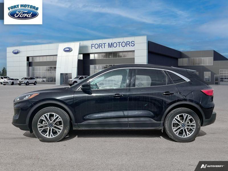 2021 Ford Escape SEL AWD  - Power Liftgate -  Park Assist Photo5