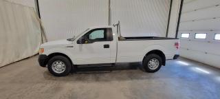 Used 2010 Ford F-150  for sale in Dundurn, SK