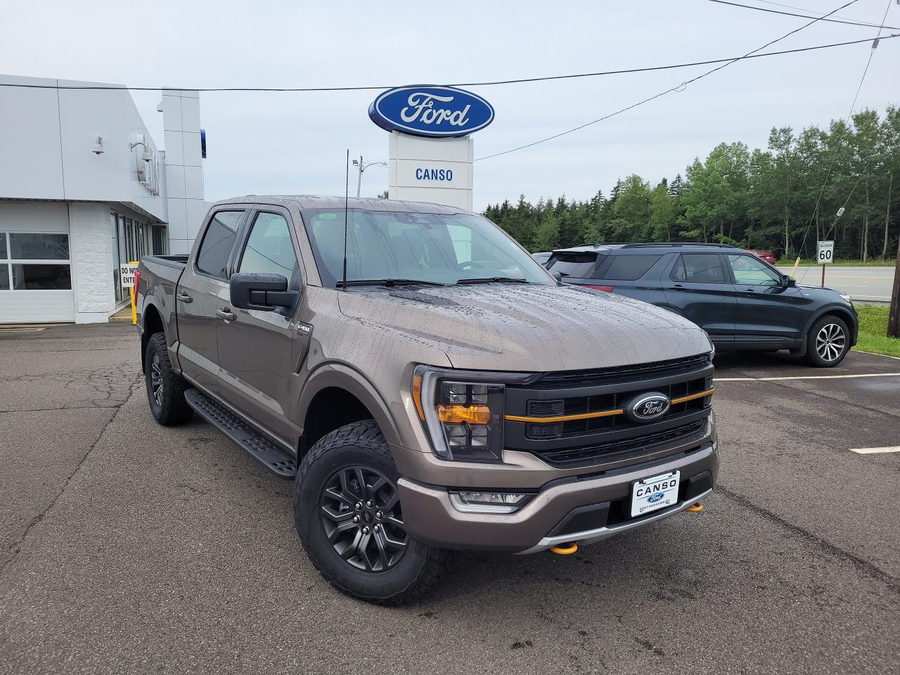 2023 Ford F-150 Tremor 4WD SuperCrew 5.5' Box Photo0