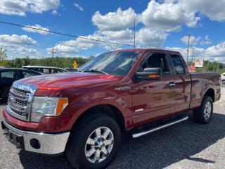 2014 Ford F-150  - Photo #3