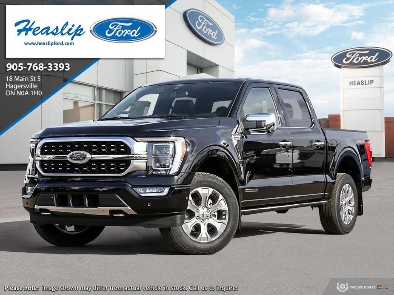 New 2023 Ford F-150 PLATINUM for sale in Hagersville, ON