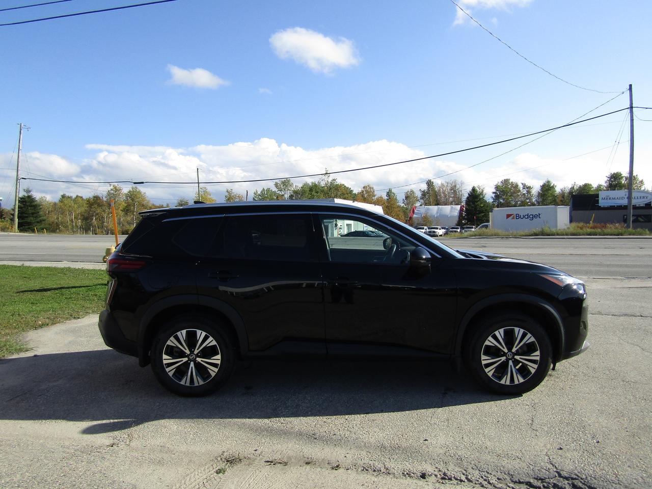 2021 Nissan Rogue SV PLATINUM Photo
