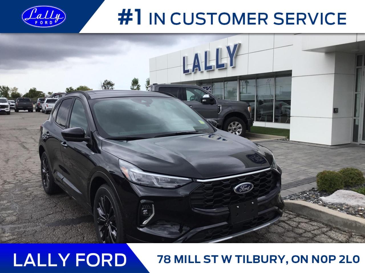 New 2023 Ford Escape ST-Line Elite for sale in Tilbury, ON