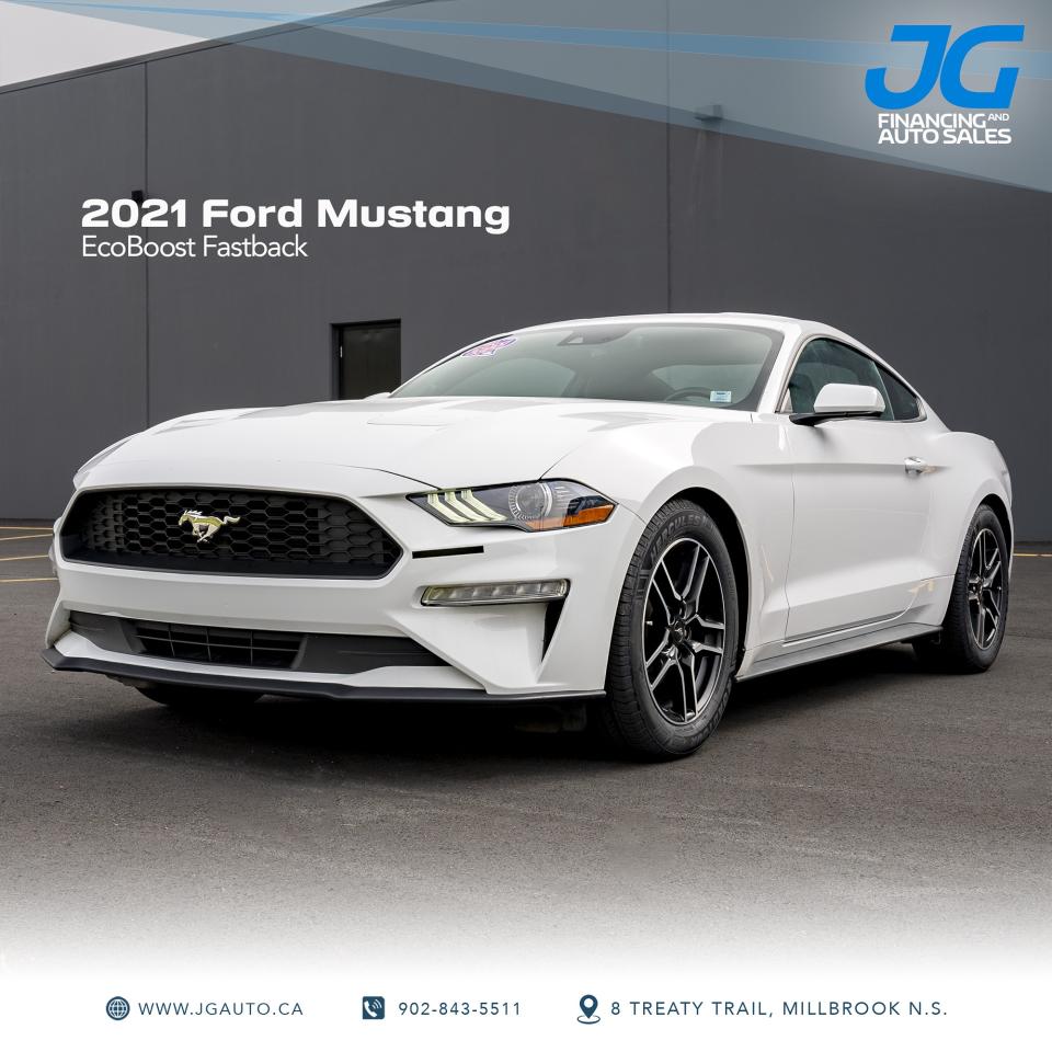 2021 Ford Mustang EcoBoost Fastback