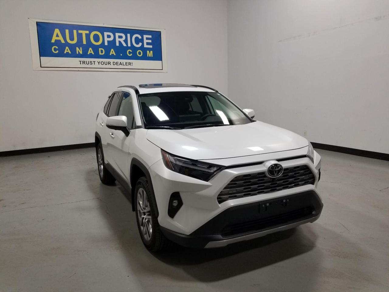 Used 2023 Toyota RAV4 LIMITED for sale in Mississauga, ON