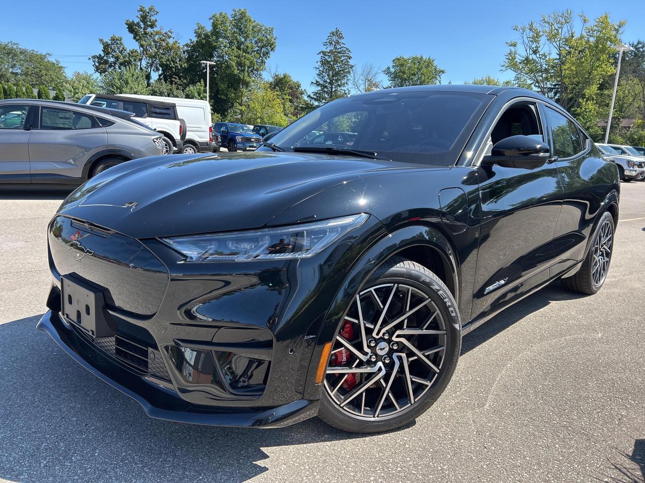 New 2023 Ford Mustang Mach-E GT Performance Edition for sale in Caledonia, ON
