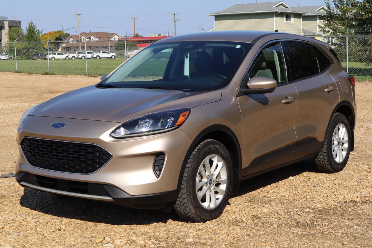 2020 Ford Escape SE Photo