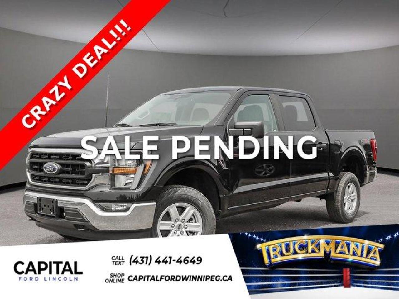 New 2023 Ford F-150 XLT for sale in Winnipeg, MB