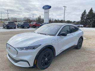 2023 Ford Mustang Mach-E California Route 1 AWD Photo