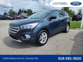 Used 2019 Ford Escape SE | Heated Seats | 4x4 for sale in Listowel, ON