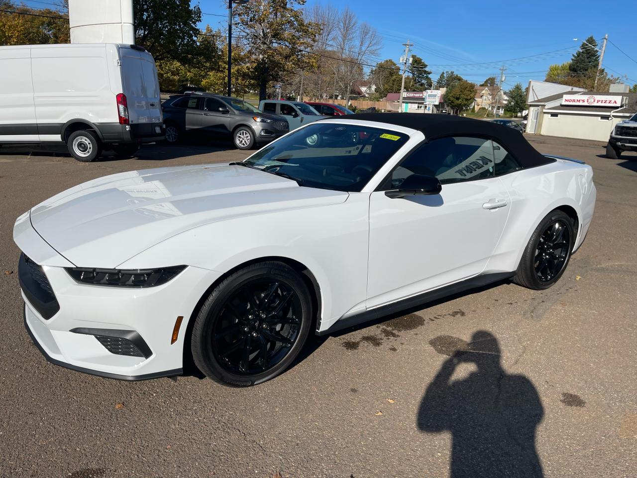 2024 Ford Mustang EcoBoost Photo0