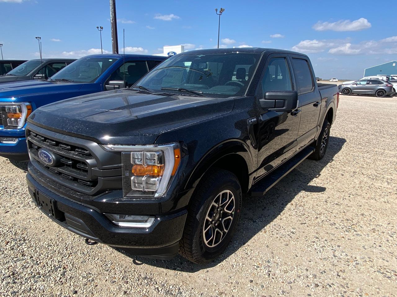 New 2023 Ford F-150 XLT 4WD SUPERCREW 5.5' BOX for sale in Elie, MB