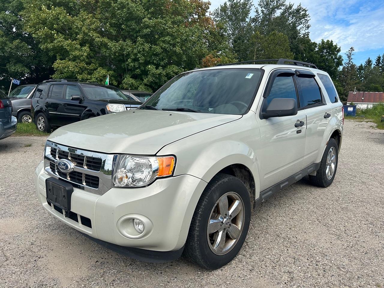2009 Ford Escape XLT**4WD*DRIVES EXCELLENT*CERTIFIED*1YEAR WARRANTY - Photo #1