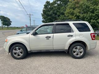 2009 Ford Escape XLT**4WD*DRIVES EXCELLENT*CERTIFIED*1YEAR WARRANTY - Photo #8