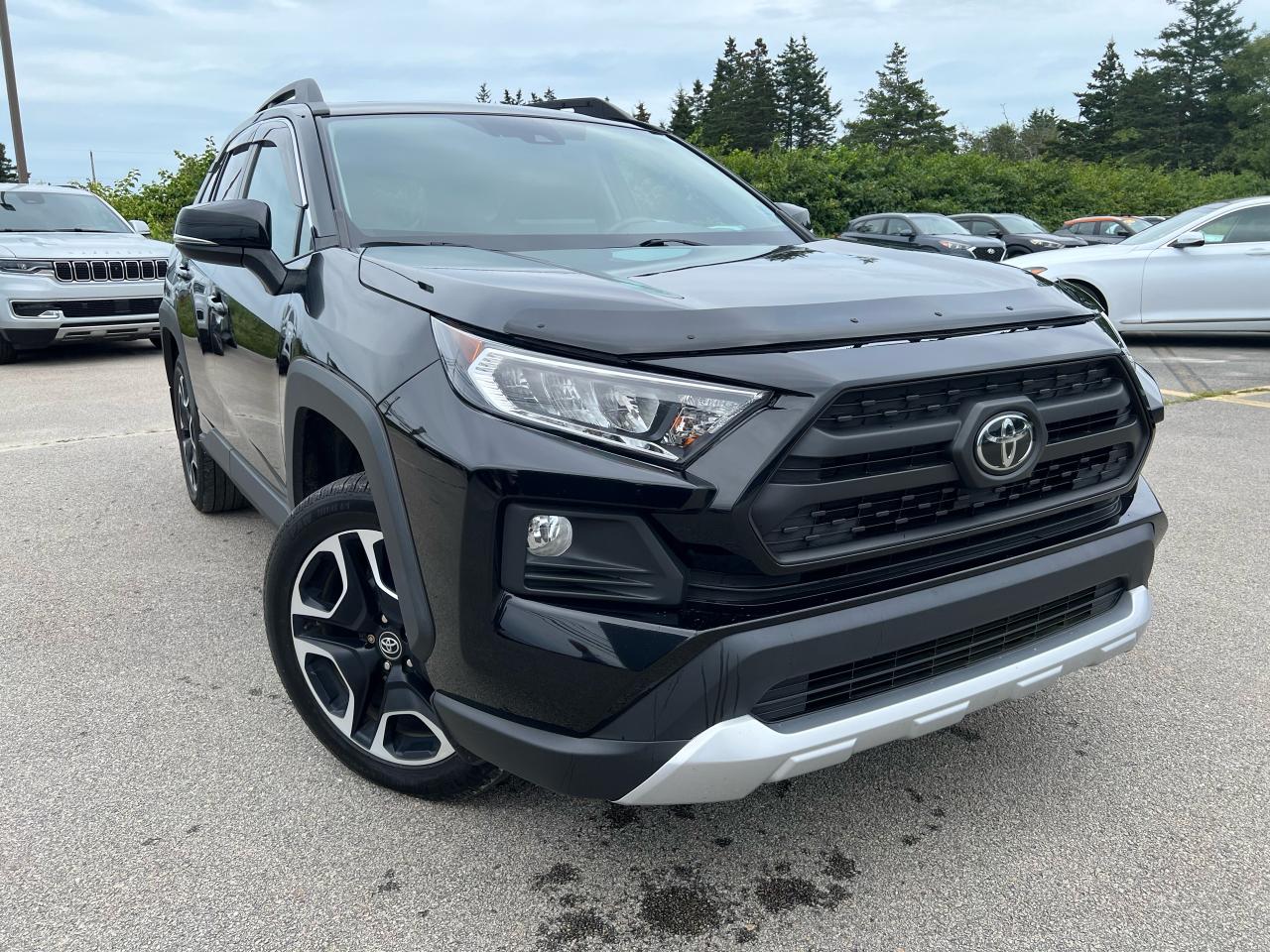 2019 Toyota RAV4 TRAIL Photo23