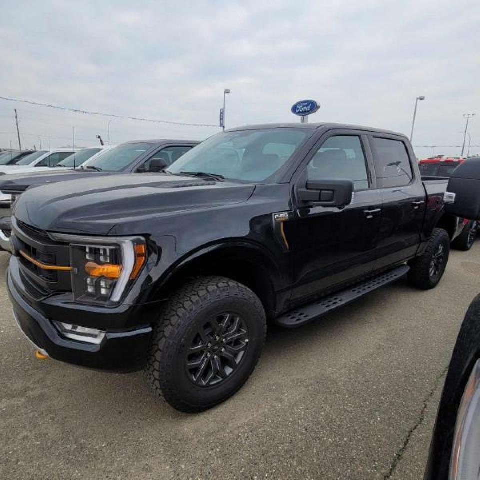 2023 Ford F-150 Tremor  - Sunroof - Premium Audio Photo0