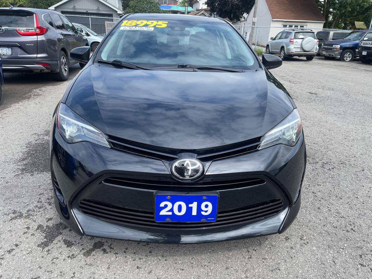 2019 Toyota Corolla LE, Alloys, Sunroof, Lane Keep Assist,Adapt.Cruise - Photo #2