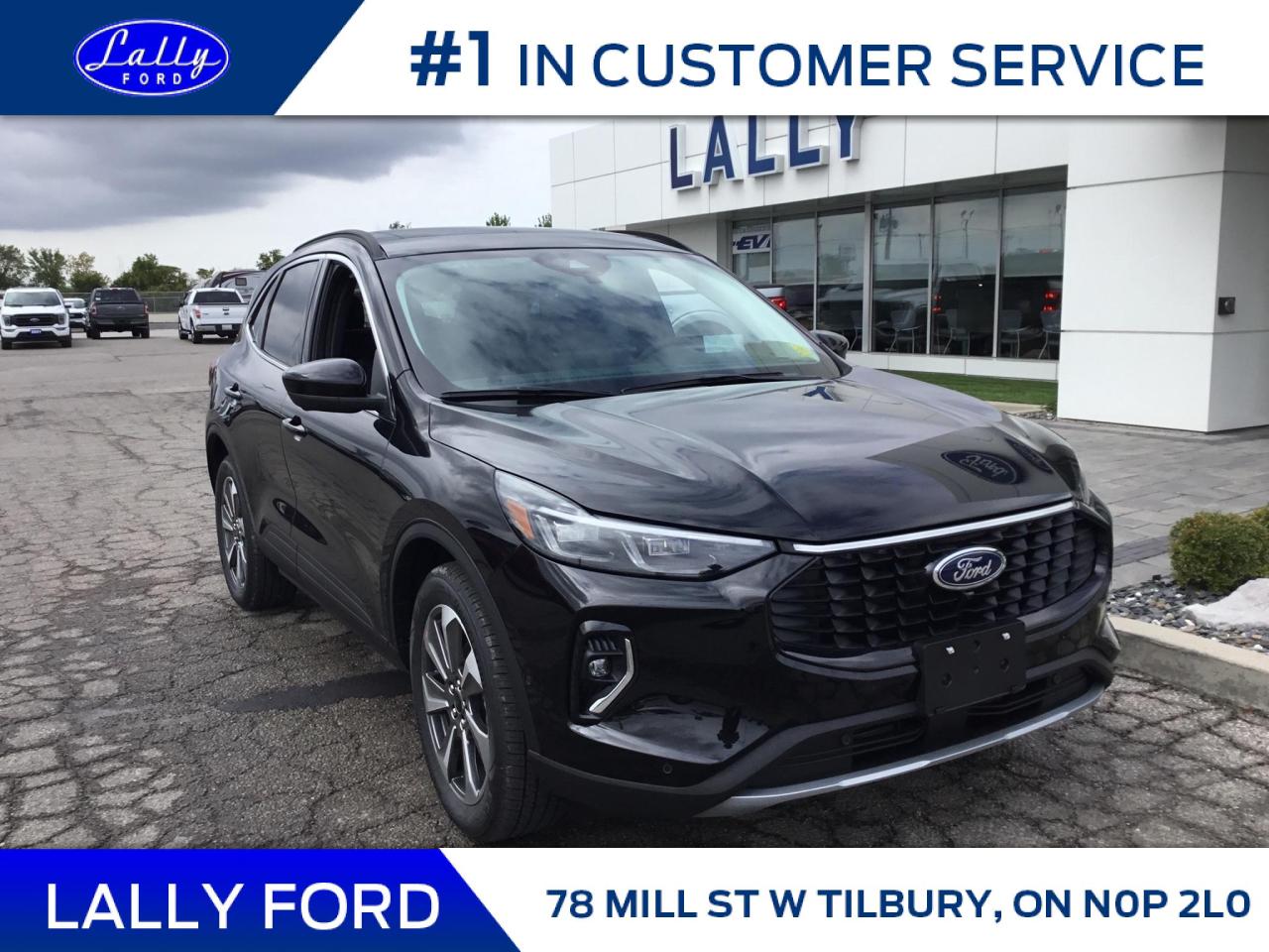 New 2023 Ford Escape Platinum for sale in Tilbury, ON