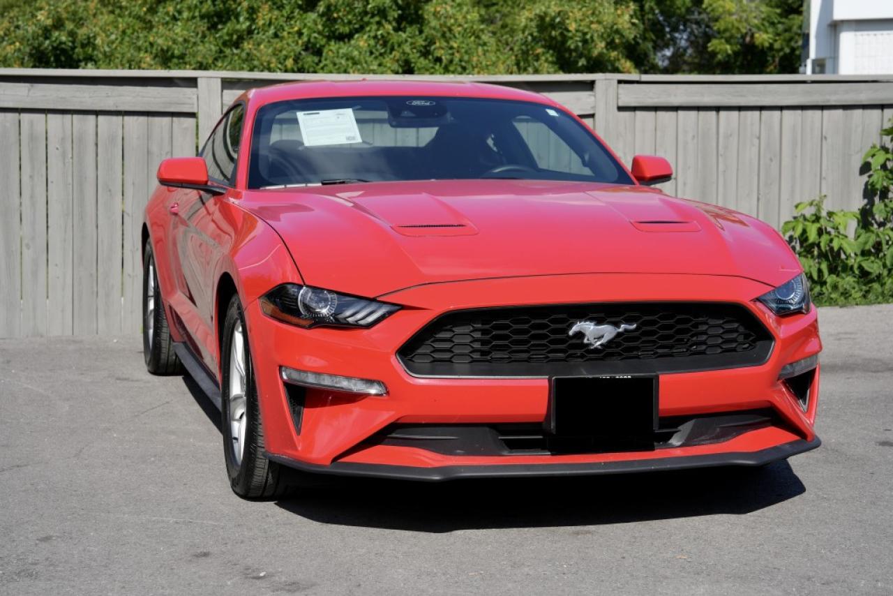 Used 2022 Ford Mustang ECOBOOST FASTBACK | RWD | COLL ASSIST | CARPLAY for sale in Welland, ON