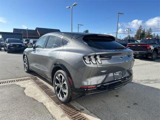 2023 Ford Mustang Mach-E Premium AWD Photo