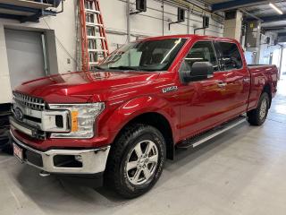 5.0L V8!! SUPERCREW XLT 4x4 W/ XTR & CHROME PKG INCL. REMOTE START, PRE-COLLISION SYSTEM W/ ACTIVE BRAKING, TOW PACKAGE W/ INTEGRATED TRAILER BRAKE CONTROLLER, FOLDING TAILGATE STEP AND 18-IN ALLOYS!! Backup camera, running boards, air conditioning, 6-foot 6-inch box w/ bedliner, full power group incl. power seat, auto headlights, cruise control and Sirius XM!