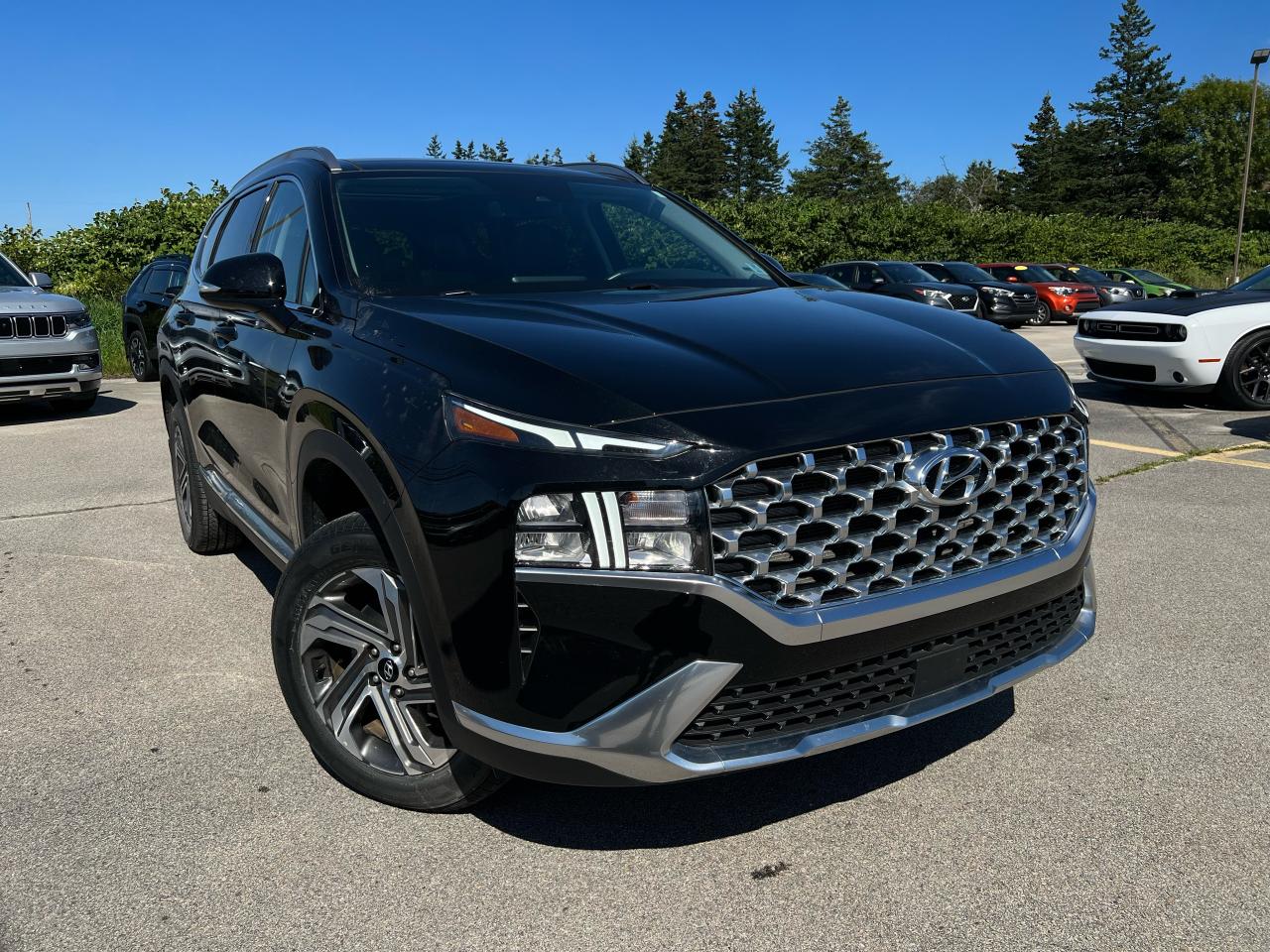 2021 Hyundai Santa Fe Trend