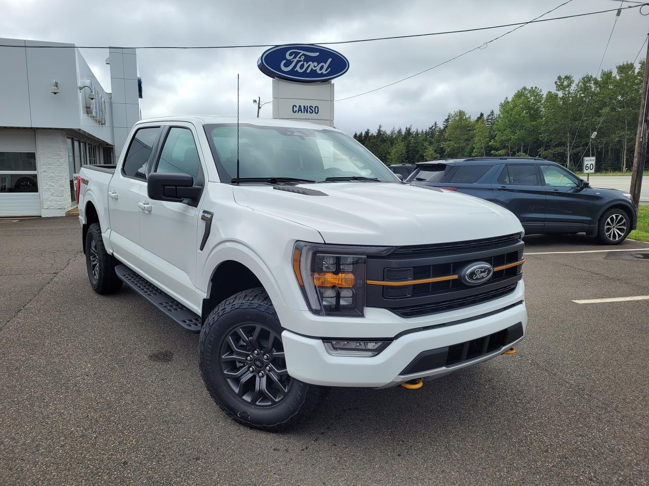 2023 Ford F-150 Tremor 4WD SuperCrew 5.5' Box Photo0