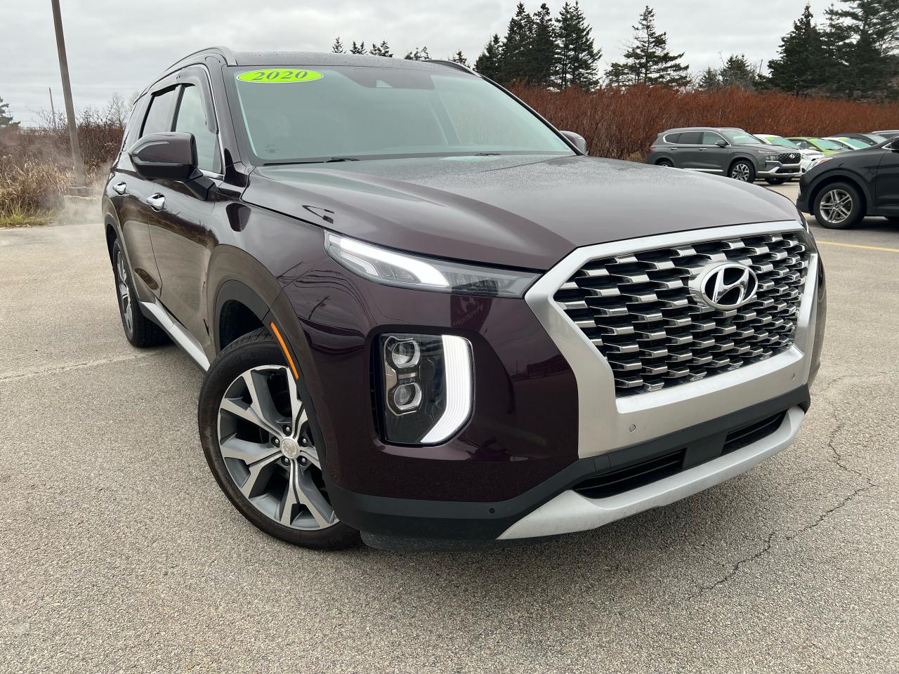 2020 Hyundai PALISADE LUXURY