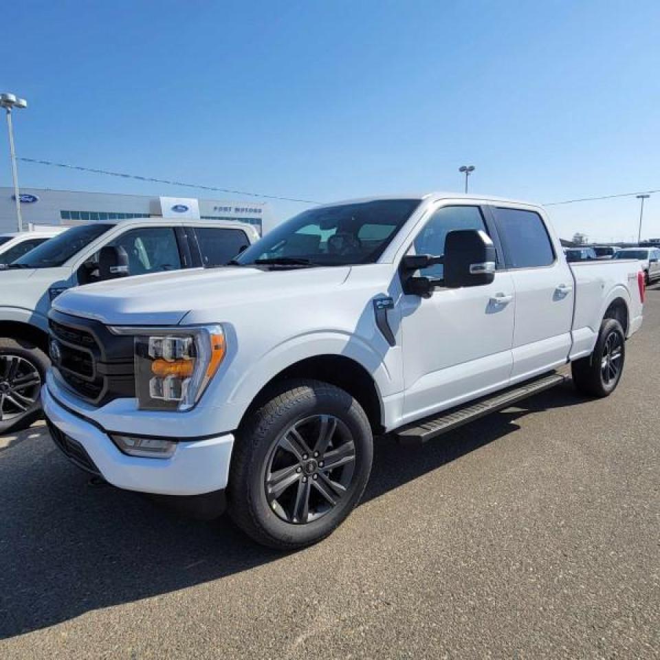 2023 Ford F-150 XLT  - Sunroof - Premium Audio Photo0