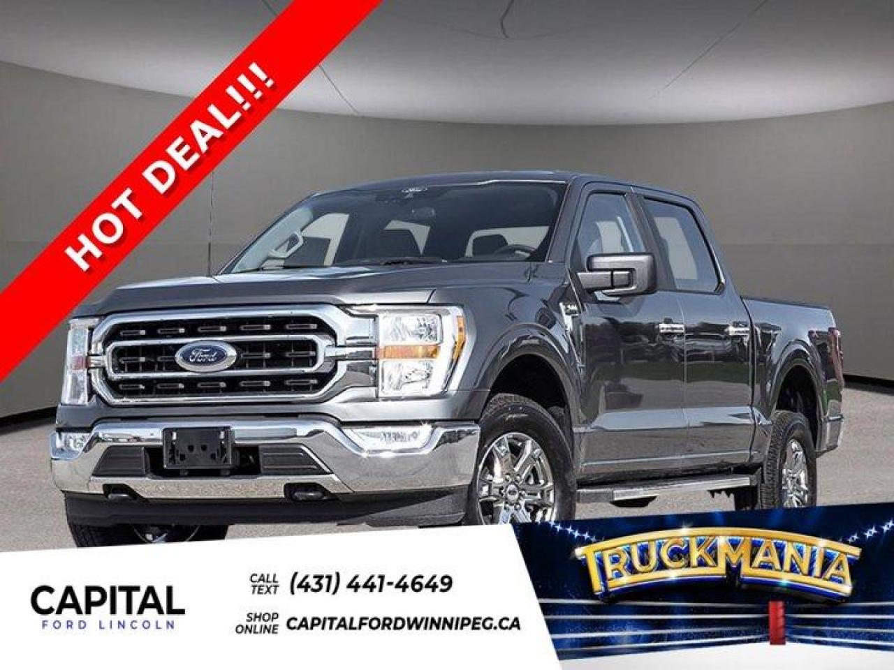 New 2023 Ford F-150 XLT for sale in Winnipeg, MB