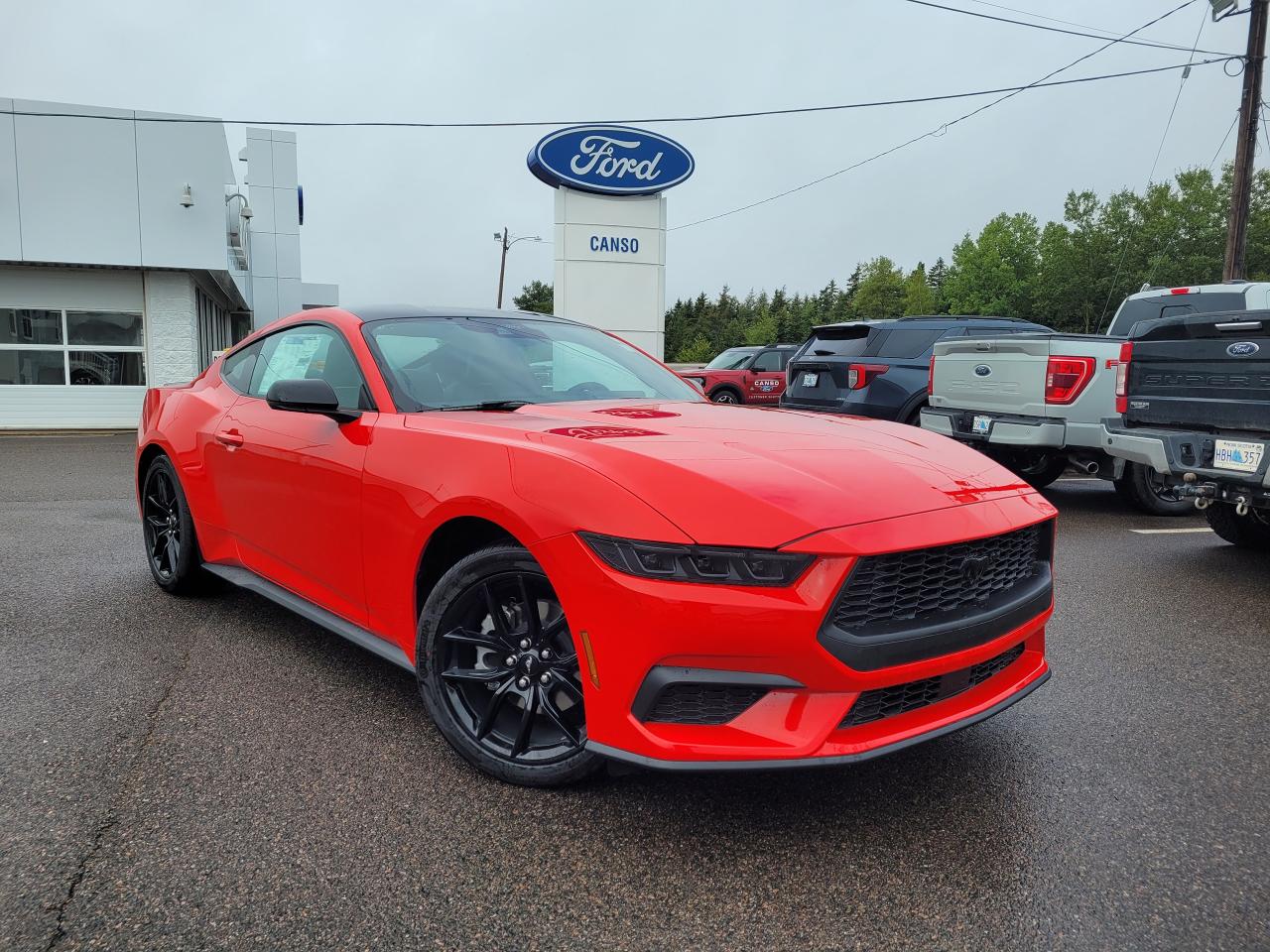 2024 Ford Mustang EcoBoost Premium Fastback Photo0