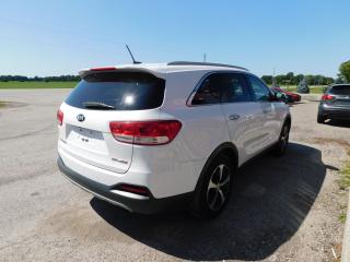 2016 Kia Sorento EX | Backup Camera | AWD | Bluetooth - Photo #4