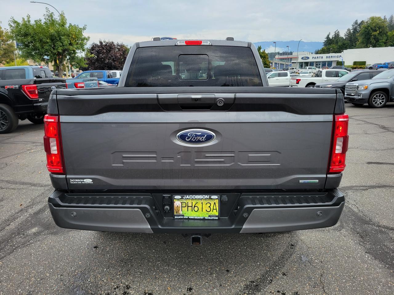 2021 Ford F-150 XLT Photo5