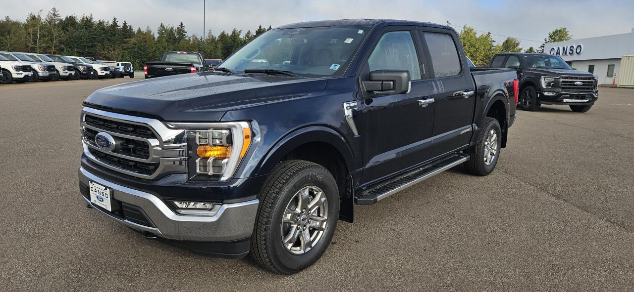 2023 Ford F-150 XLT 4WD SUPERCREW 5.5' BOX Photo5