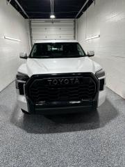 2022 Toyota Tundra  - Photo #4