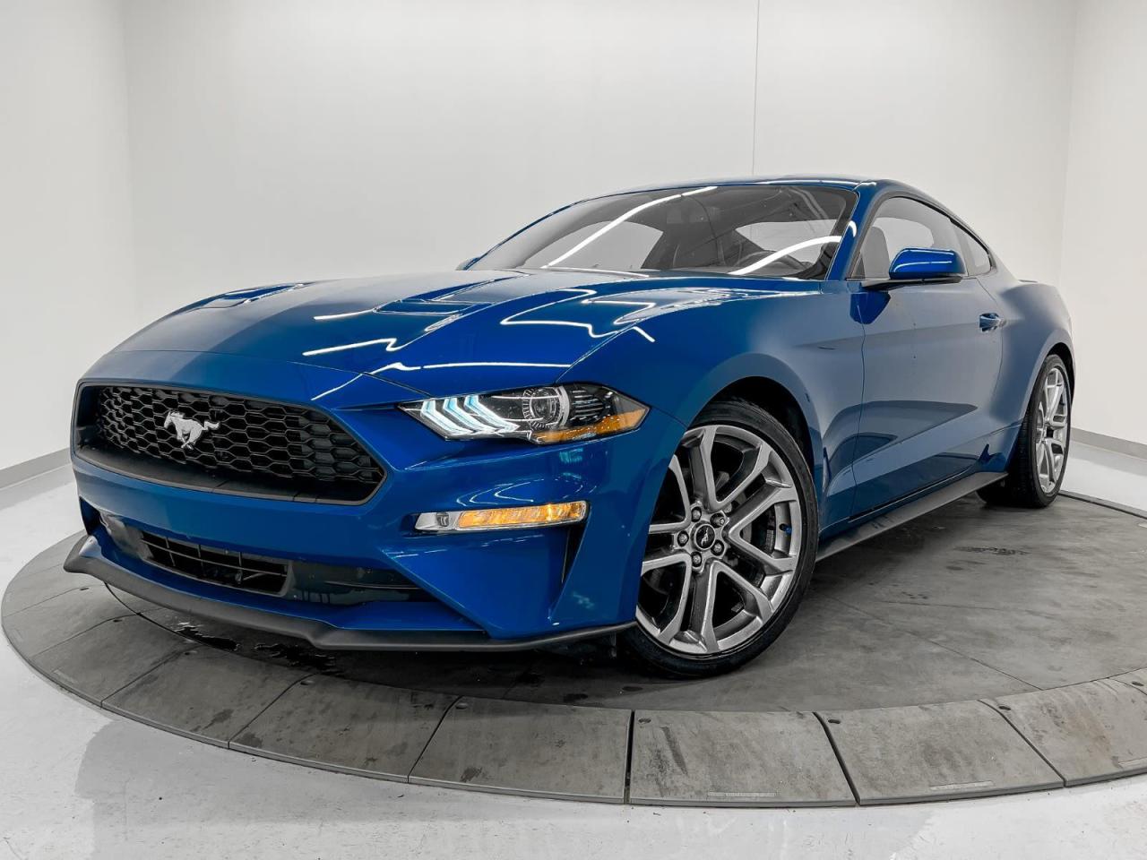 Used 2018 Ford Mustang  for sale in Edmonton, AB