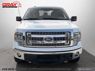 2013 Ford F-150 XLT - Photo #8