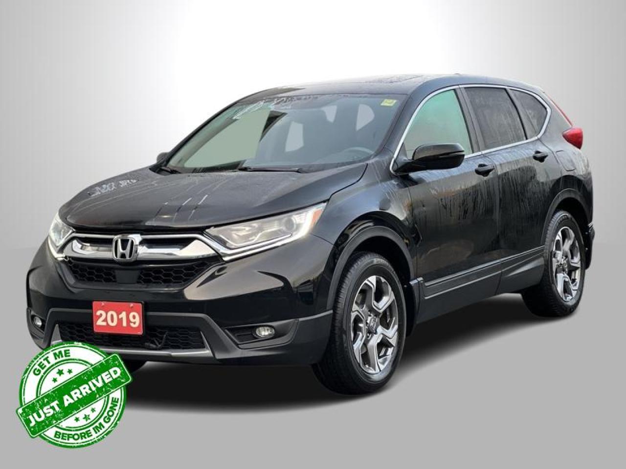 Used 2019 Honda CR-V EX-L AWD   - Sunroof -  Leather Seats - New Tires, Front & Rear Brakes! for sale in Sudbury, ON
