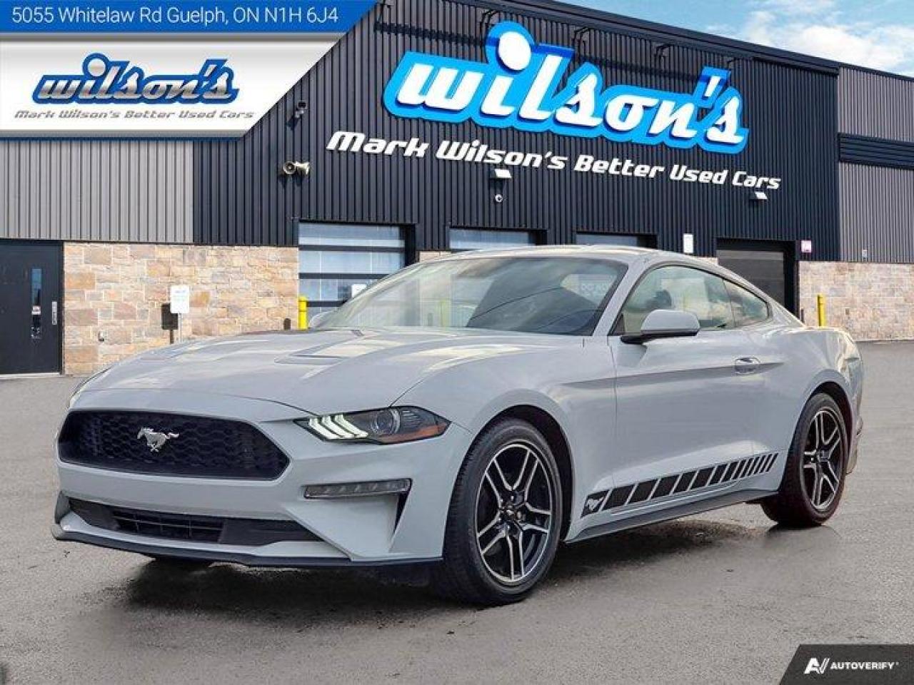 *This Ford Mustang Comes Equipped with These Options*Dealer Certified Pre-Owned. This Ford Mustang delivers a 2.3 L engine powering its polished transmission. Parking Sensors, Air Conditioning, Bluetooth, Tilt Steering Wheel, Steering Radio Controls, Power Locks, Cruise Control, Traction Control, Power Mirrors, Power Drivers Seat, Clean Carfax, Blind Spot + Rear Cross Path Detection, Android Auto / Apple CarPlay.*Stop By Today *A short visit to Mark Wilsons Better Used Cars located at 5055 Whitelaw Road, Guelph, ON N1H 6J4 can get you a dependable Mustang today!650+ VEHICLES! ONE MASSIVE LOCATION!Free Contactless Local Delivery!HASSLE-FREE, NO-HAGGLE, LIVE MARKET PRICING!FINANCING! - Better than bank rates! 6 Months, No Payments available on approved credit OAC. Zero Down Available. We have expert credit specialists to secure the best possible rate for you! We are your financing broker, let us do all the leg work on your behalf! Click the RED Apply for Financing button to the right to get started or drop in today!BAD CREDIT APPROVED HERE! - You dont need perfect credit to get a vehicle loan at Mark Wilsons Better Used Cars! We have a dedicated team of credit rebuilding experts on hand to help you get the car of your dreams!WE LOVE TRADE-INS! - Hassle free top dollar trade-in values!HISTORY: Free Carfax report included.EXTENDED WARRANTY: Available30 DAY WARRANTY INCLUDED: 30 Days, or 3,000 km (mechanical items only). No Claim Limit (abuse not covered)5 Day Exchange Privilege! *(Some conditions apply)CASH PRICES SHOWN: Excluding HST and Licensing Fees.2019 - 2023 vehicles may be daily rentals. Please inquire with your Salesperson.