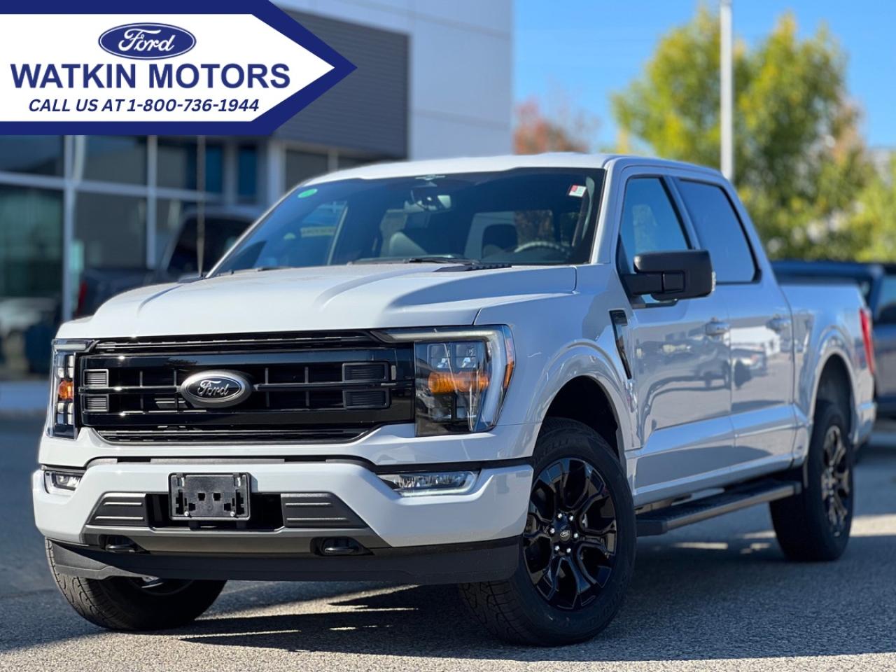 Image - 2023 Ford F-150 XLT