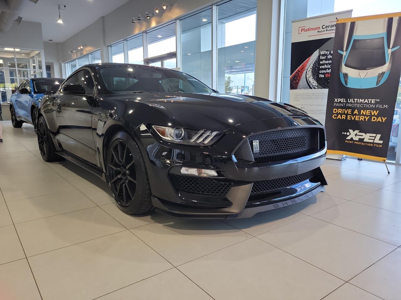 Image - 2017 Ford Mustang Shelby GT350