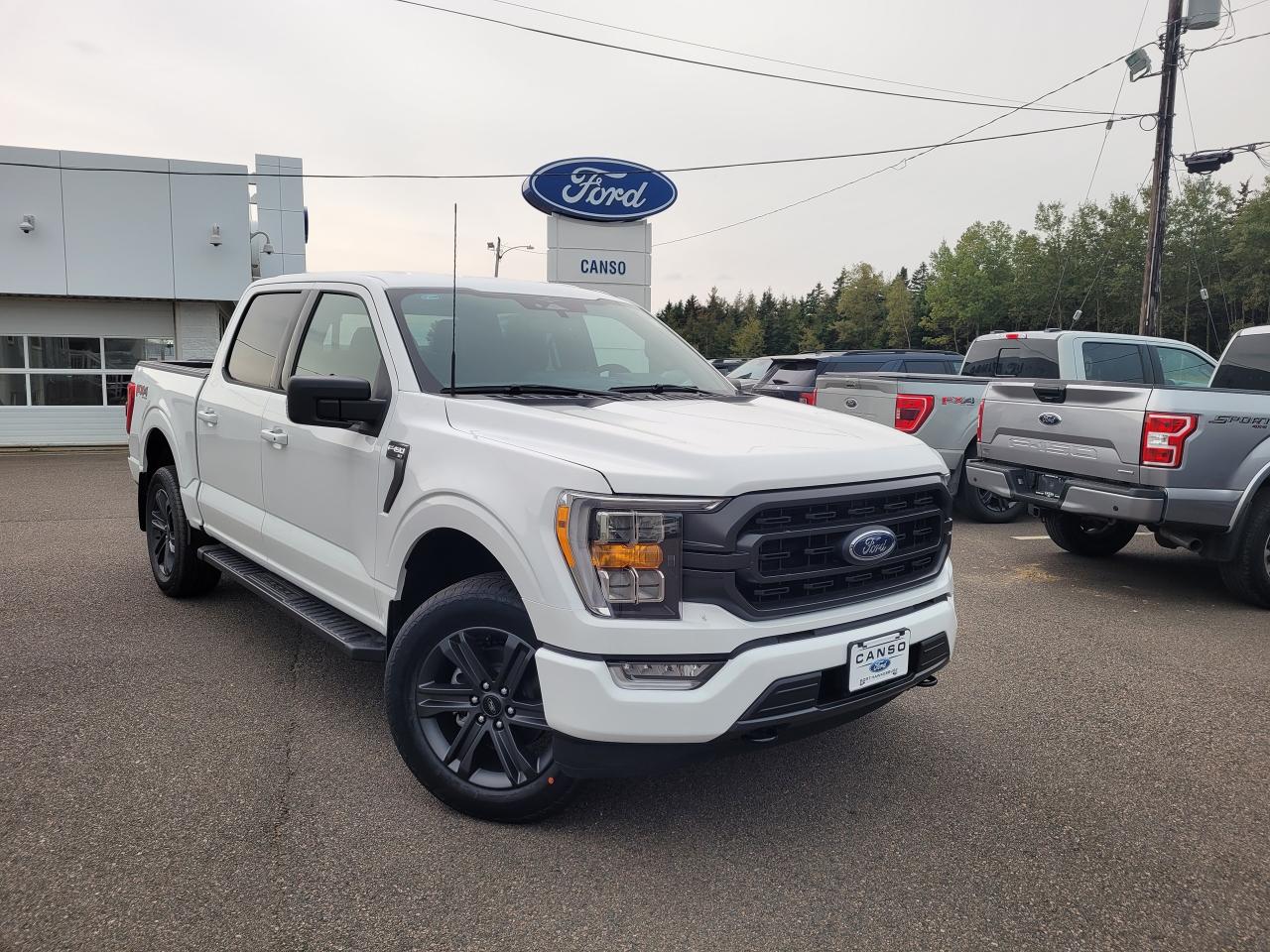 2023 Ford F-150 XLT 4WD SUPERCREW 5.5' BOX Photo0