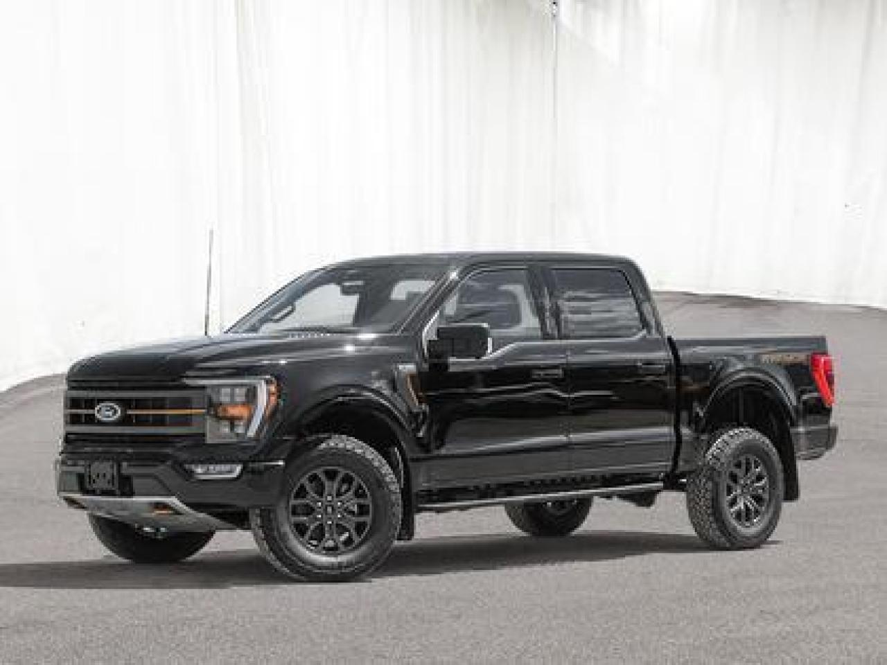 New 2023 Ford F-150 TREMOR 401A W/TAILGATE STEP for sale in Regina, SK