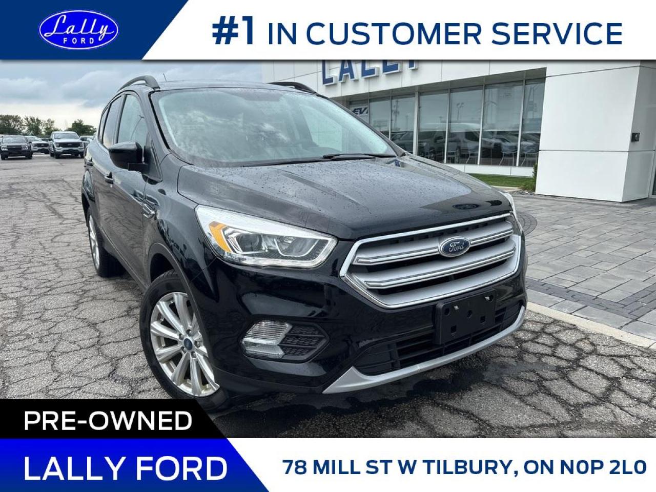 Used 2019 Ford Escape SEL, AWD, Leather, Moonroof! for sale in Tilbury, ON
