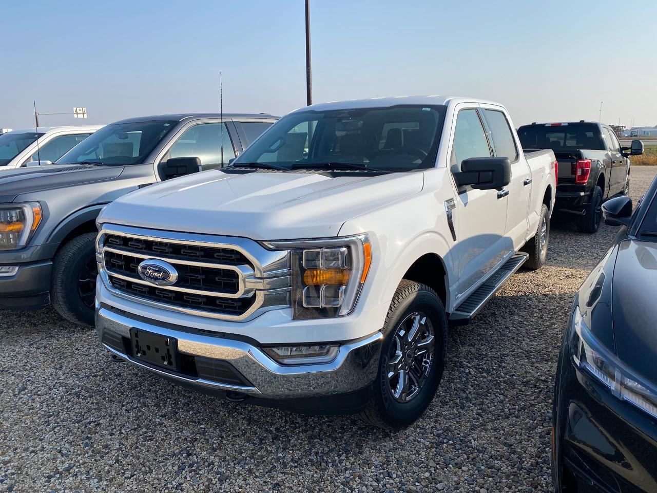 New 2023 Ford F-150 XLT 4WD SUPERCREW 6.5' BOX for sale in Elie, MB